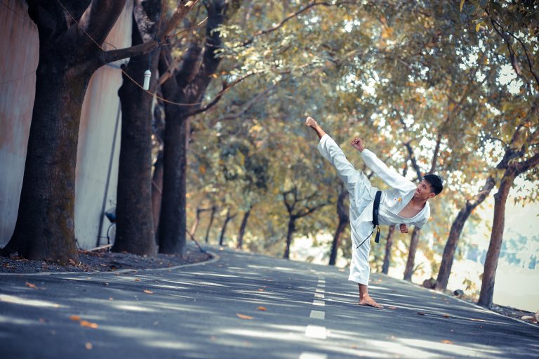 Hapkido: The Korean Self-Defense Technology